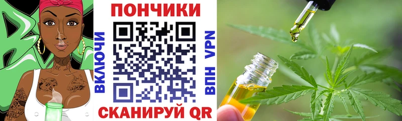Купить наркотики сайты Каменногорск ГАШ  Вейп ТГК  Мефедрон  Alpha PVP 