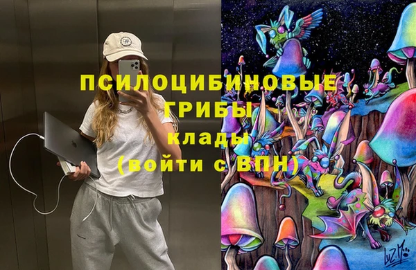 ПСИЛОЦИБИНОВЫЕ ГРИБЫ Алексин