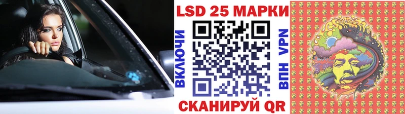 наркота  Каменногорск  MEGA сайт  Марки 25I-NBOMe 1500мкг 