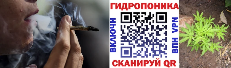 Конопля семена наркотики Каменногорск